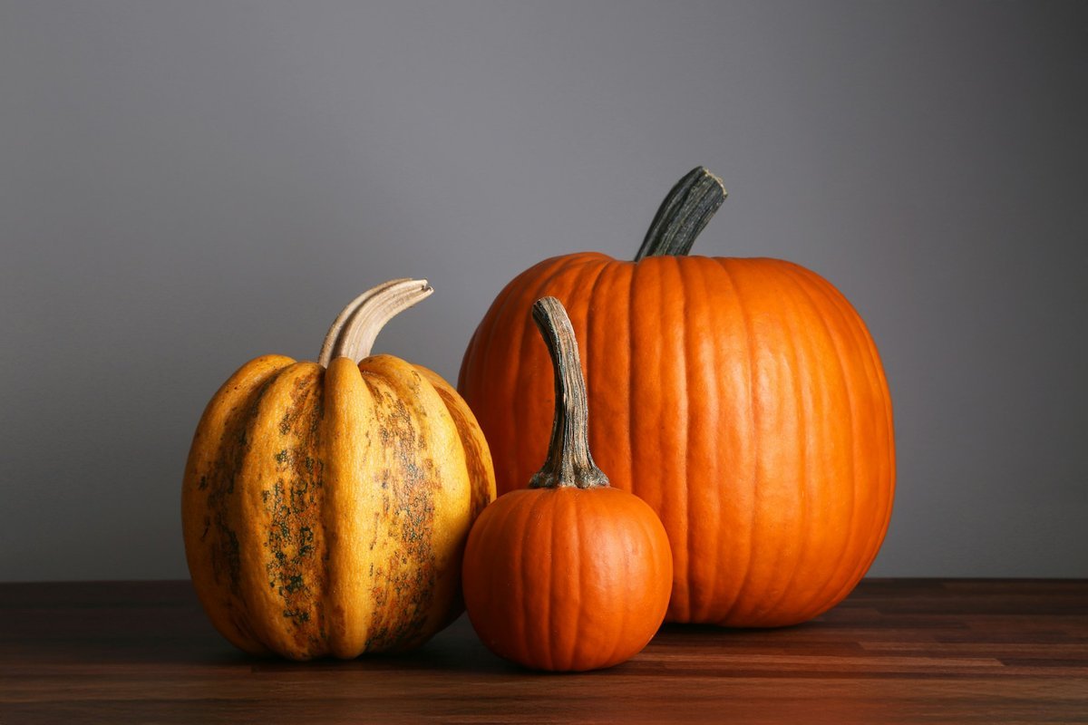 Setting a Wider Table: Meaningful Ways to Give Back This Thanksgiving Across Winnipeg