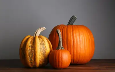 Setting a Wider Table: Meaningful Ways to Give Back This Thanksgiving Across Winnipeg