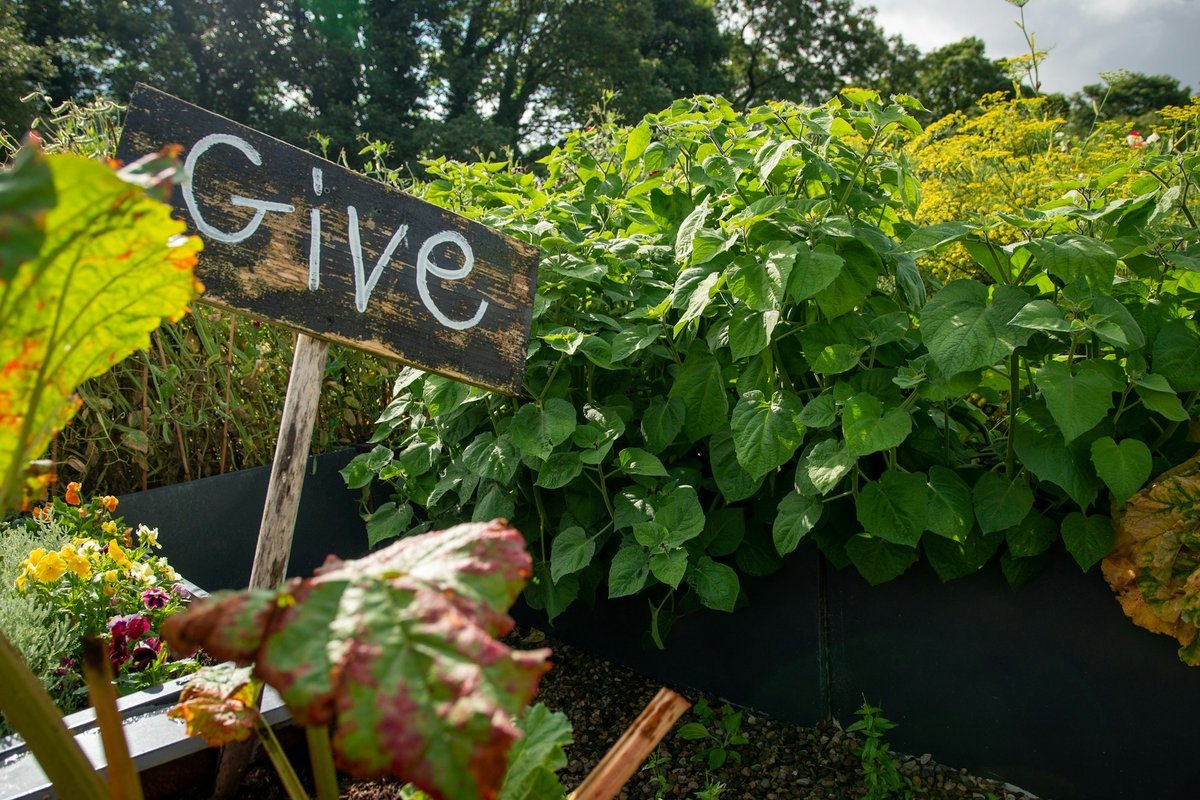 Innovate Today, Nourish Tomorrow: Reimagining Food Security Across Winnipeg