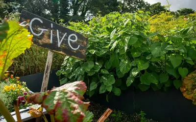 Innovate Today, Nourish Tomorrow: Reimagining Food Security Across Winnipeg