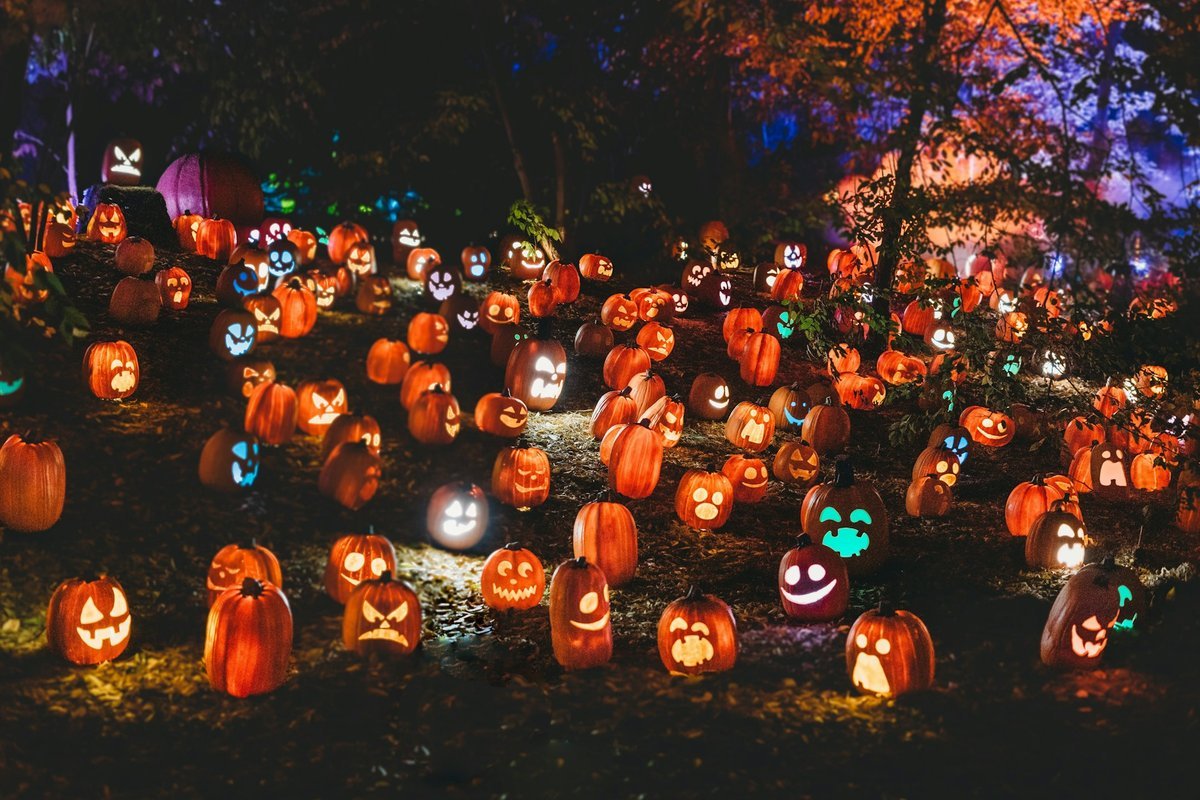 Spooktacular Ways to Give Back: Celebrating Halloween 2026 in Winnipeg
