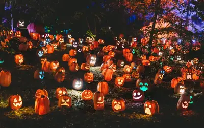 Spooktacular Ways to Give Back: Celebrating Halloween 2026 in Winnipeg