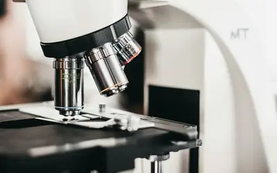 Micro-Volunteering in Winnipeg: How to Make a Big Difference in Just Minutes