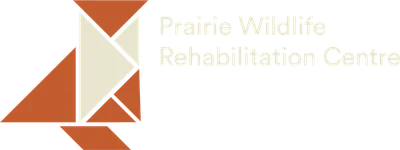 Prairie Wildlife Rehabilitation Centre