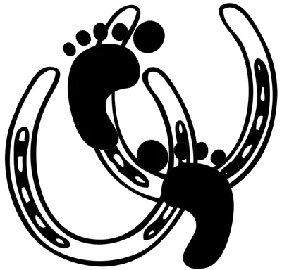 The Barefoot Ranch Inc.