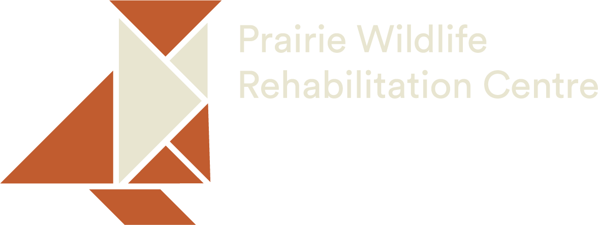 Prairie Wildlife Rehabilitation Centre Logo